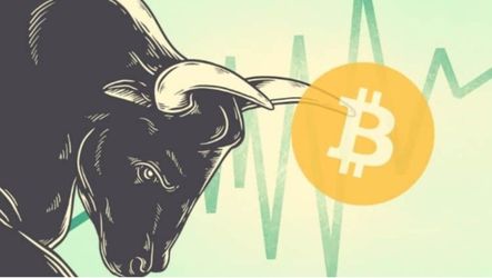 Bitcoin's Bull Run